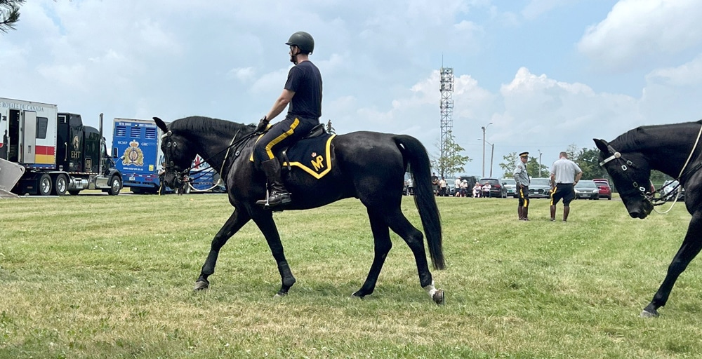 A man riding a black horse at the walk.