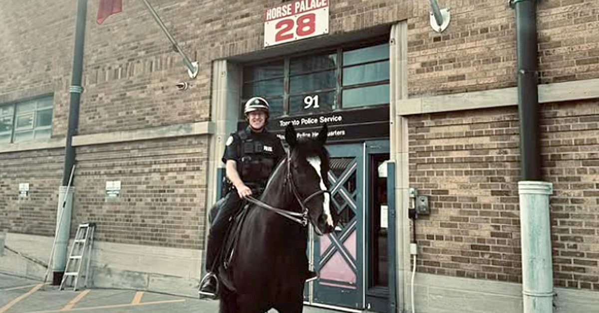A police horse and officer standing outside a building.