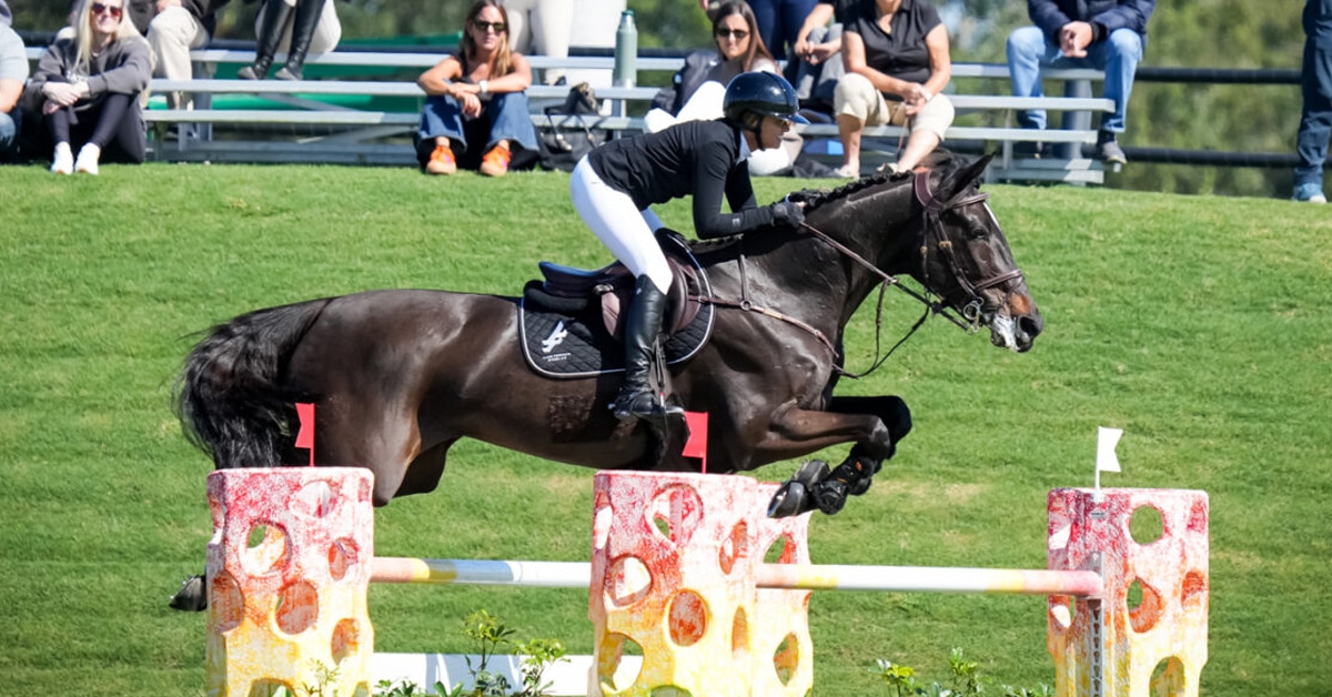 A woman jumping a fence at WEF on a dark bay horse.