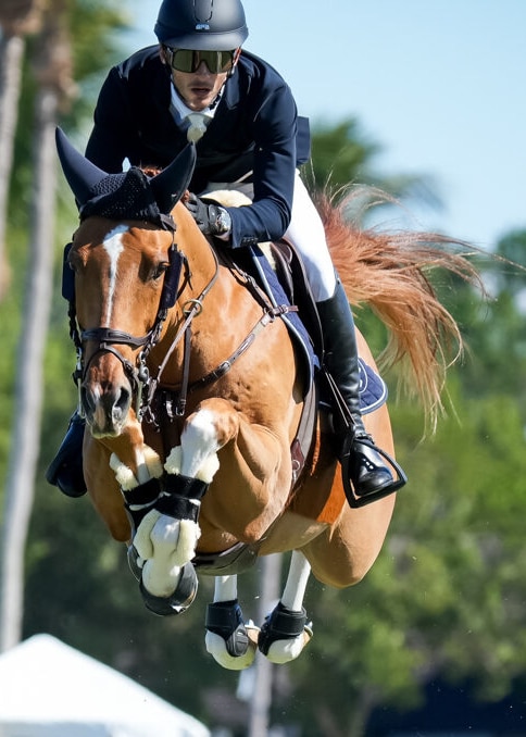 A man jumping a chestnut horse over a fence in Florida.