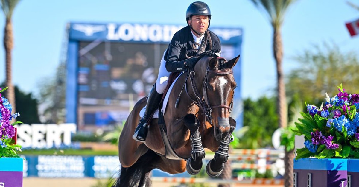 A man jumping a bay horse over a fence in California.