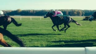 Horses racing on the turf.