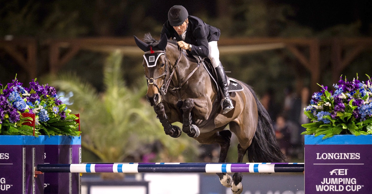 A man jumping a dark bay horse over a fence in California.