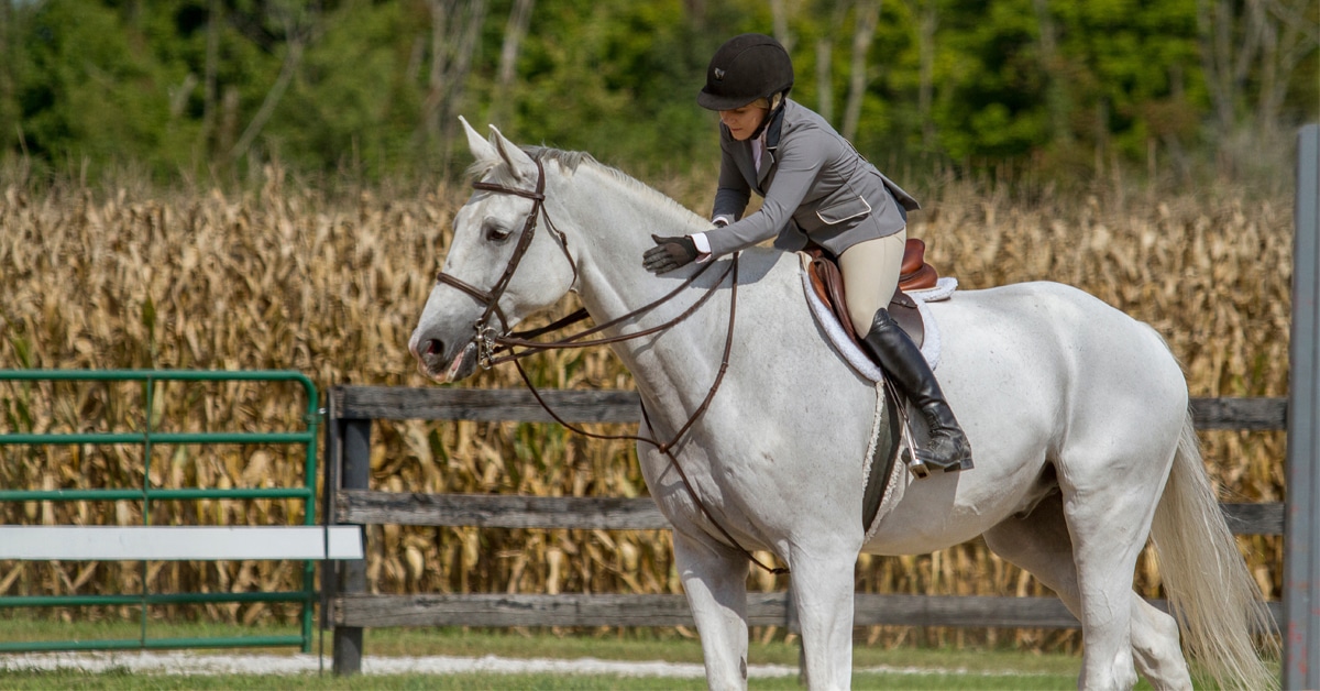 A grey horse being petted by its rider at a show.
