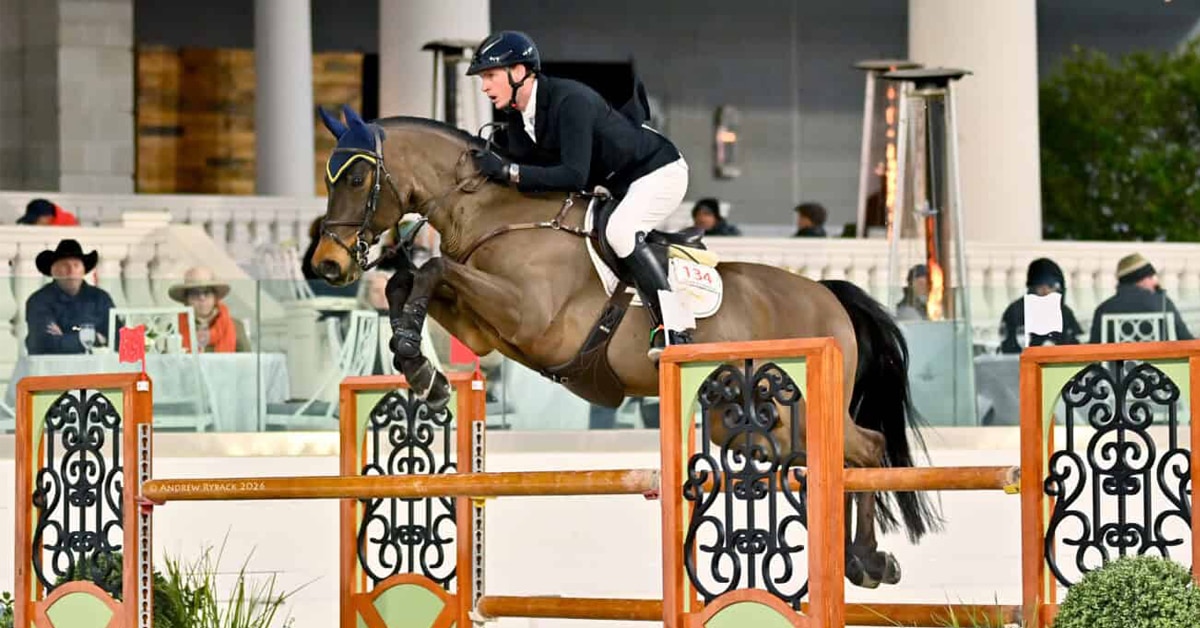 A man jumping a bay horse over a fence in Ocala.