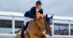 A man jumping a chestnut horse over a fence in Spain.