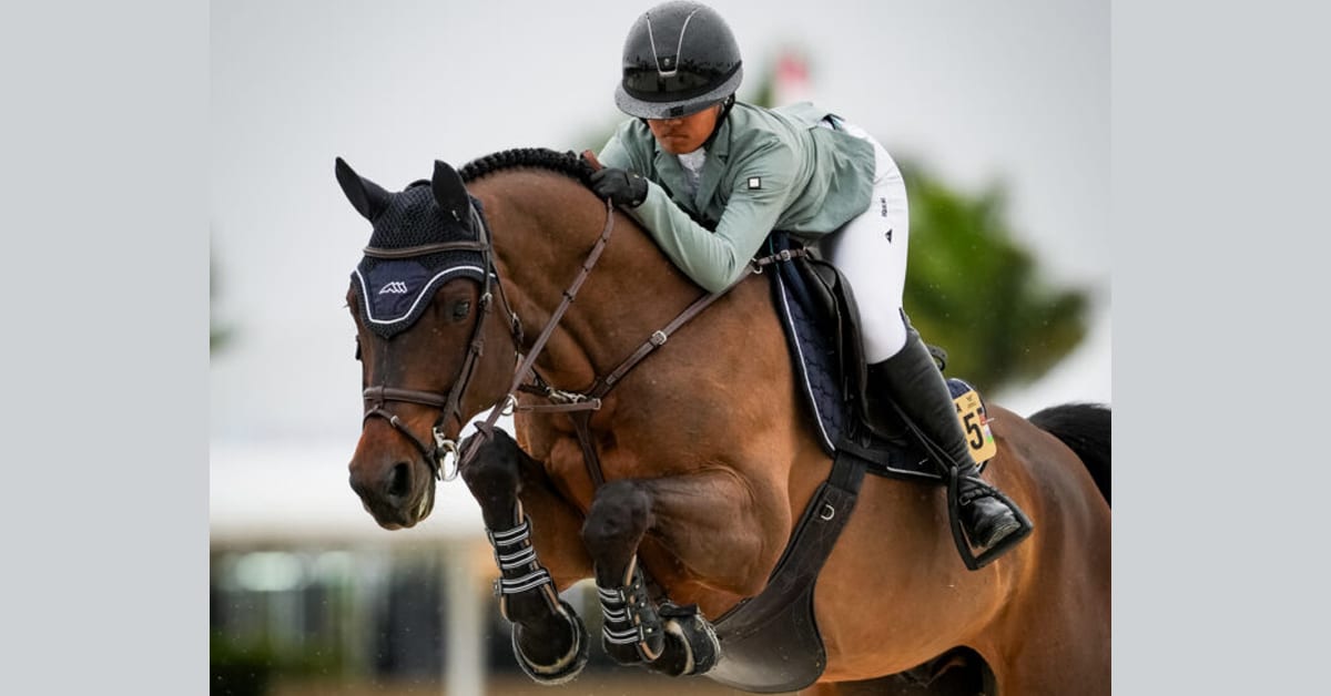 A woman jumping a bay horse over a fence in Florida.