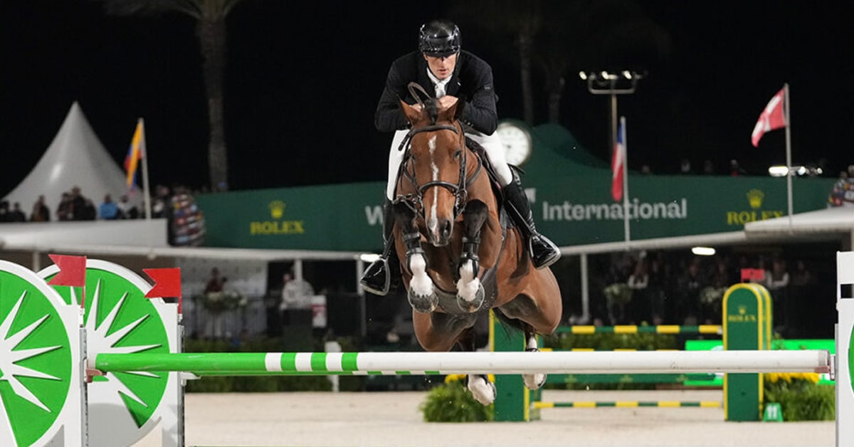 A man riding a bay horse over a fence during a night class at WEF.