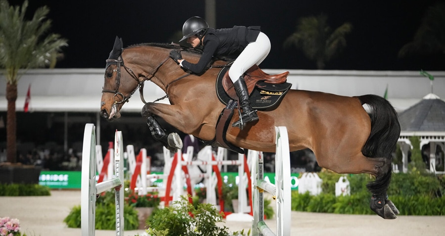 A woman riding a bay horse over a fence at WEF.