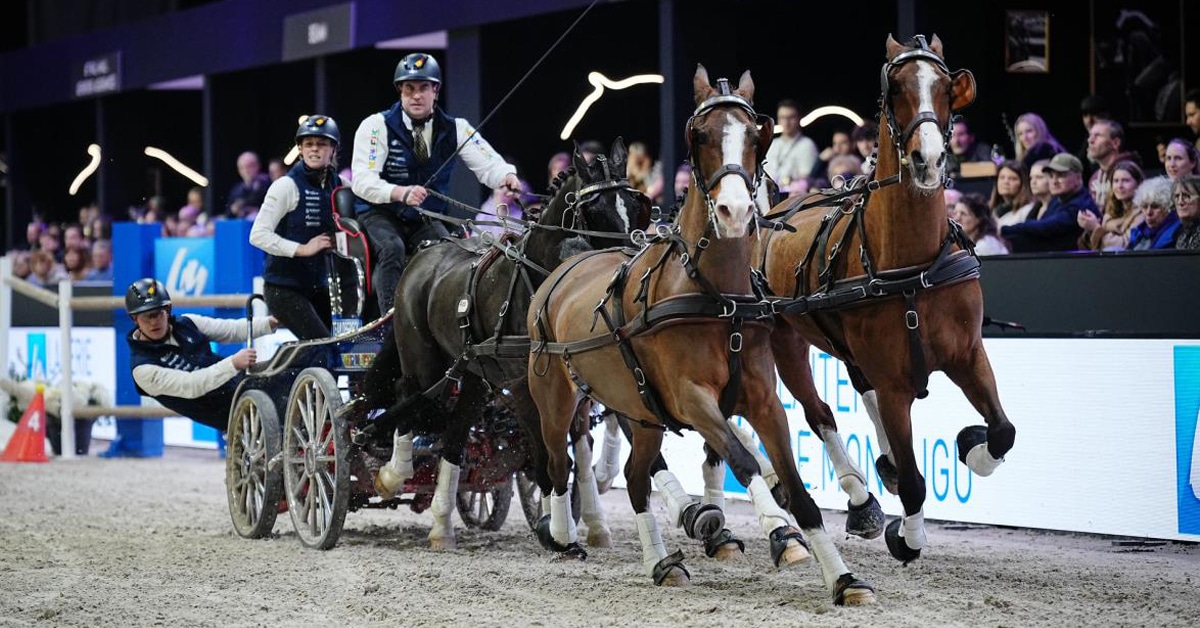 A man driving a team of four horses in an arena in France.