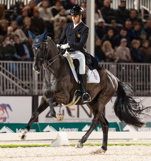 A man riding a dark bay dressage horse in an arena.