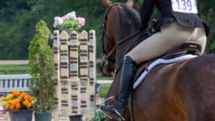 A rider on a hunter approaching a fence during a round.