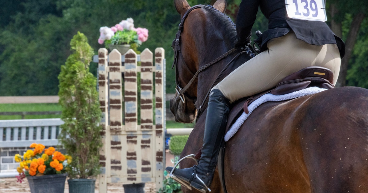 A rider on a hunter approaching a fence during a round.