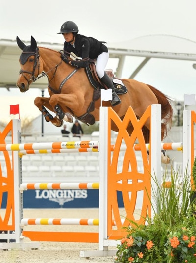 A woman riding a chestnut mare over a fence in Ocala.