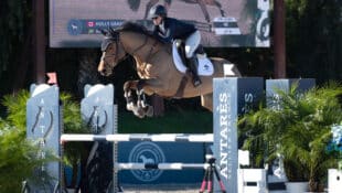 A woman jumping a bay horse over a fence in California.
