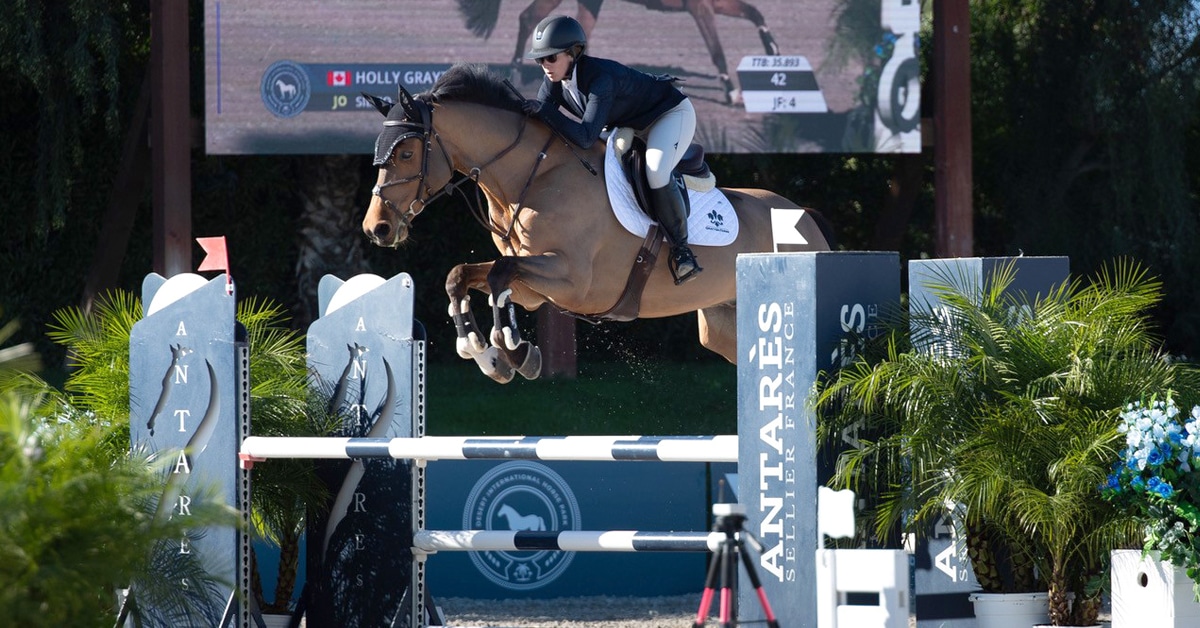 A woman jumping a bay horse over a fence in California.