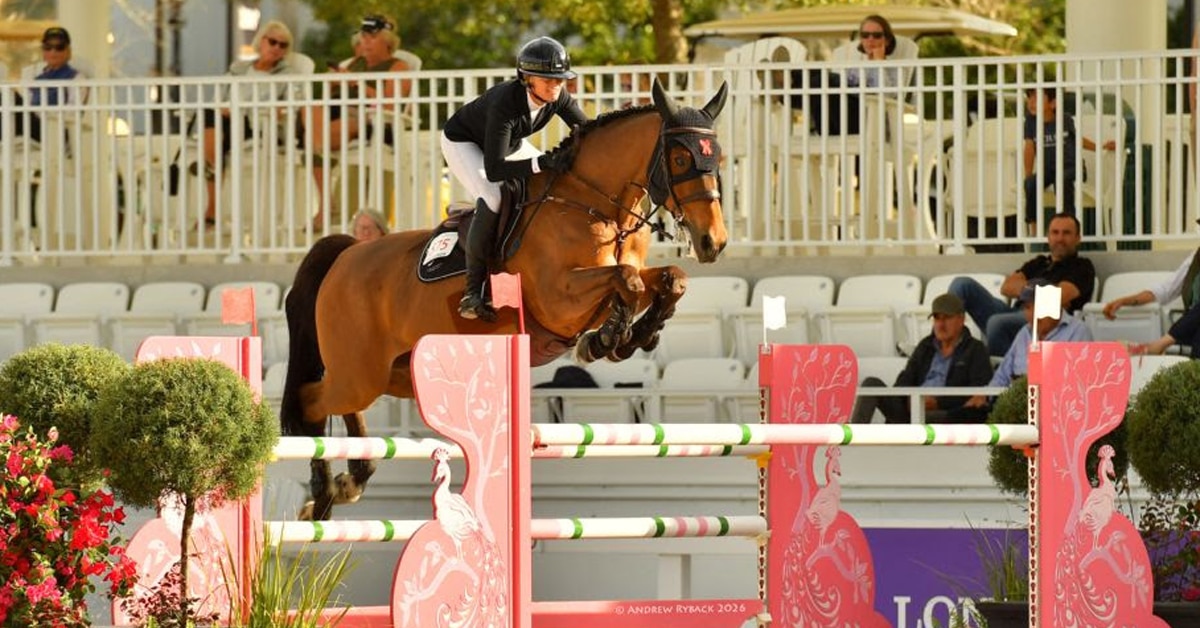 A woman jumping a bay horse over a fence in Ocala.