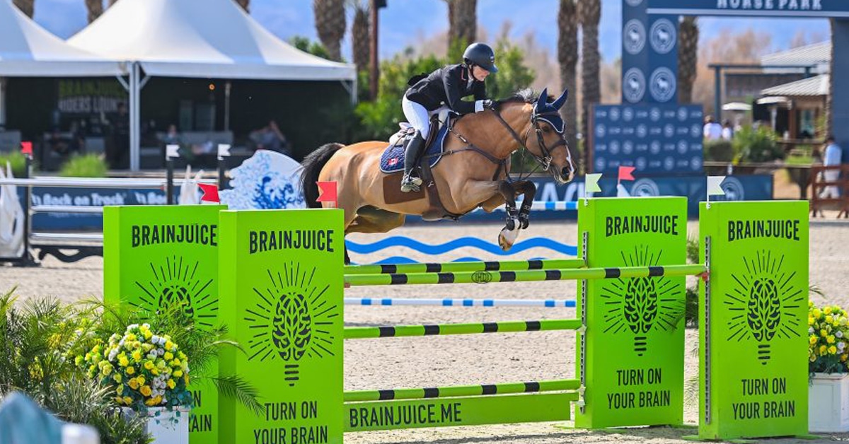 A woman jumping a bay horse over a fence in California.