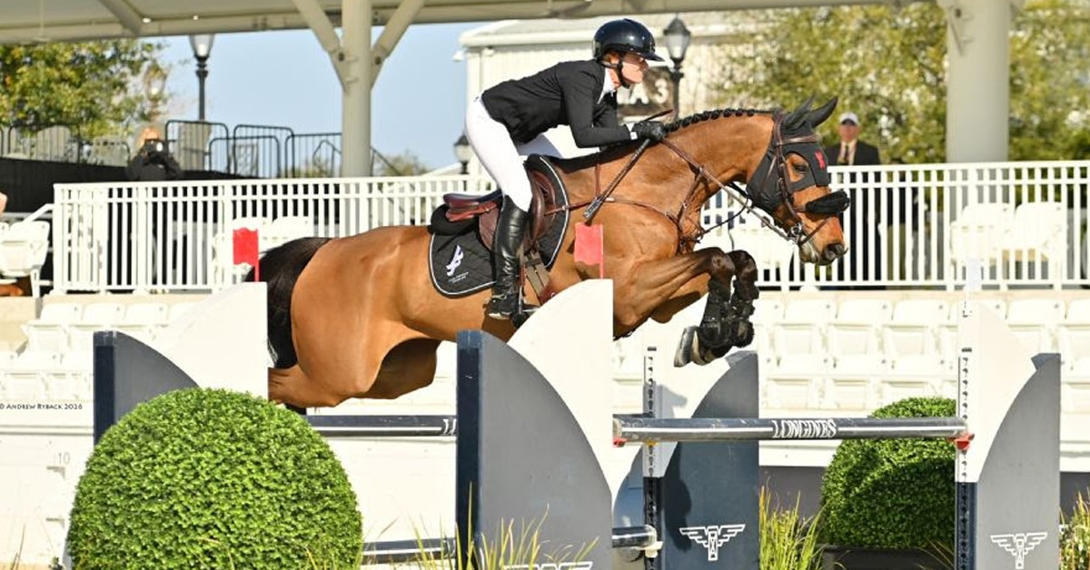 A woman jumping a bay horse over a fence in Ocala.