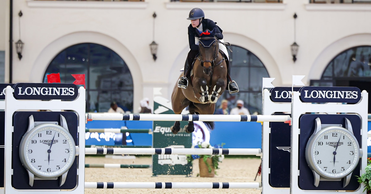 A woman jumping a bay horse over a fence in Abu Dhabi.