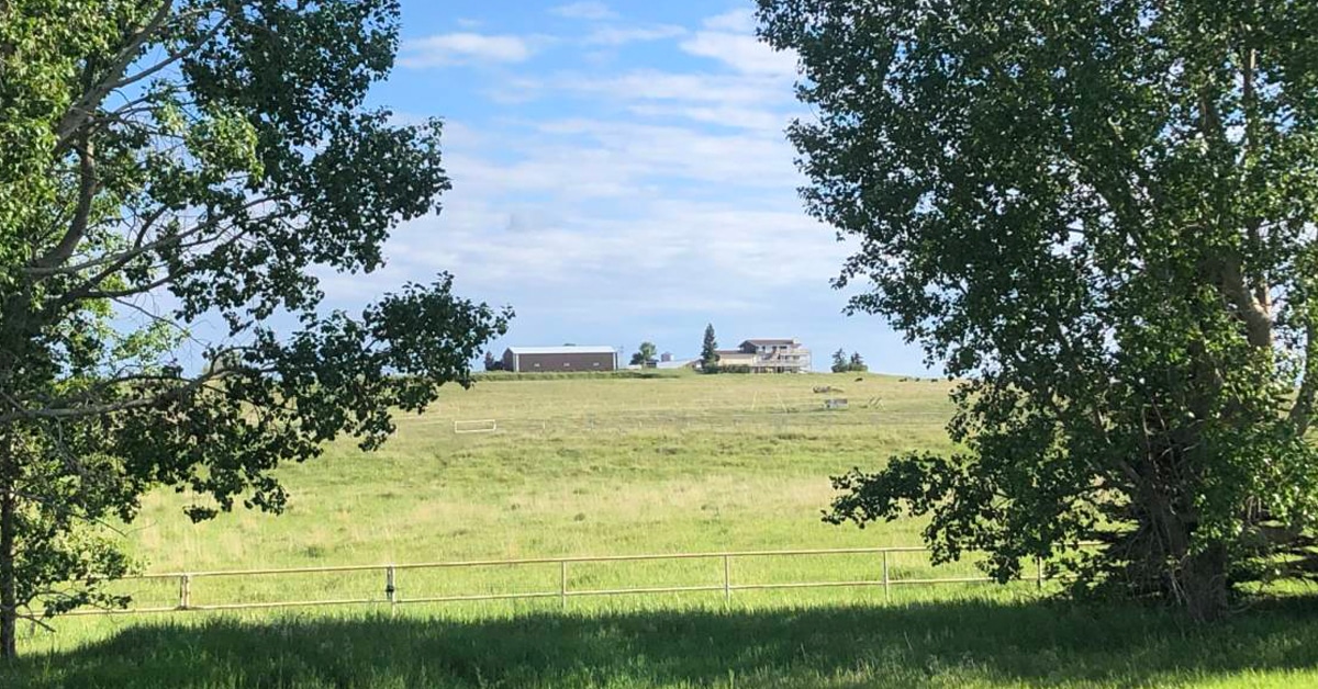 Thumbnail for $1,999,000 for an outstanding horse facility in Vulcan County, Alberta
