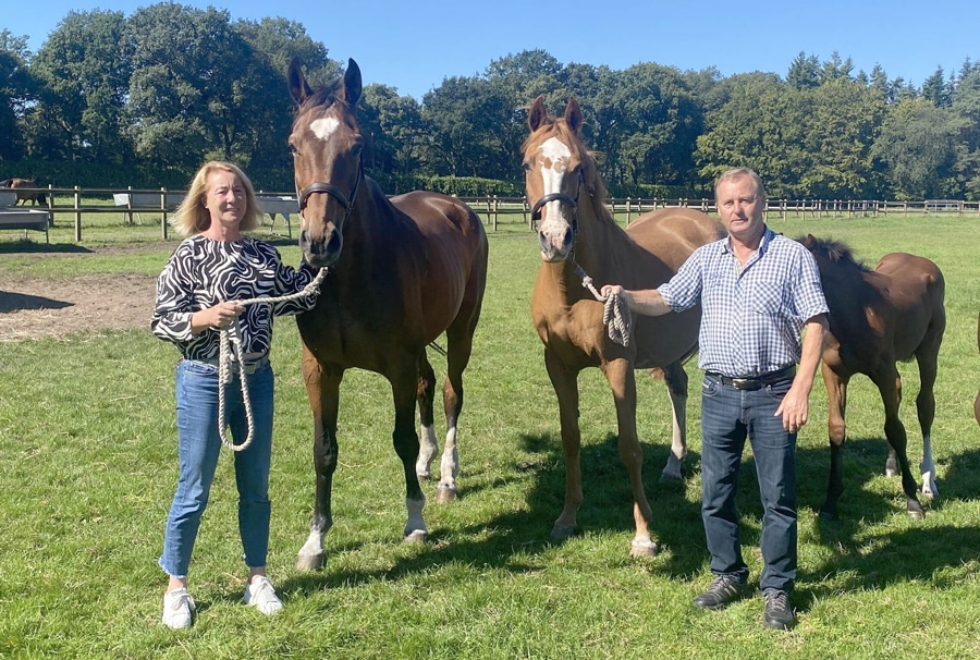 A man and woman holding horses in a field in Germany.
