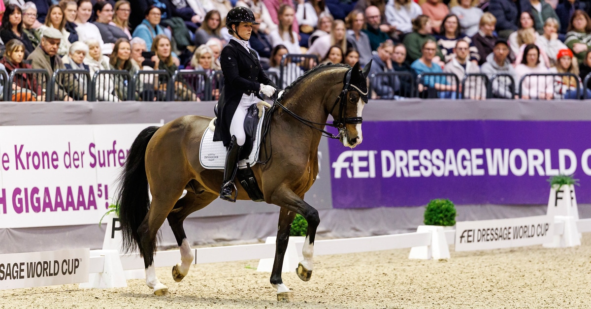 A woman riding a bay dressage horse in piaffe during a test.