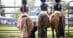 Three kids on ponies lined up at a fence at a horse show.