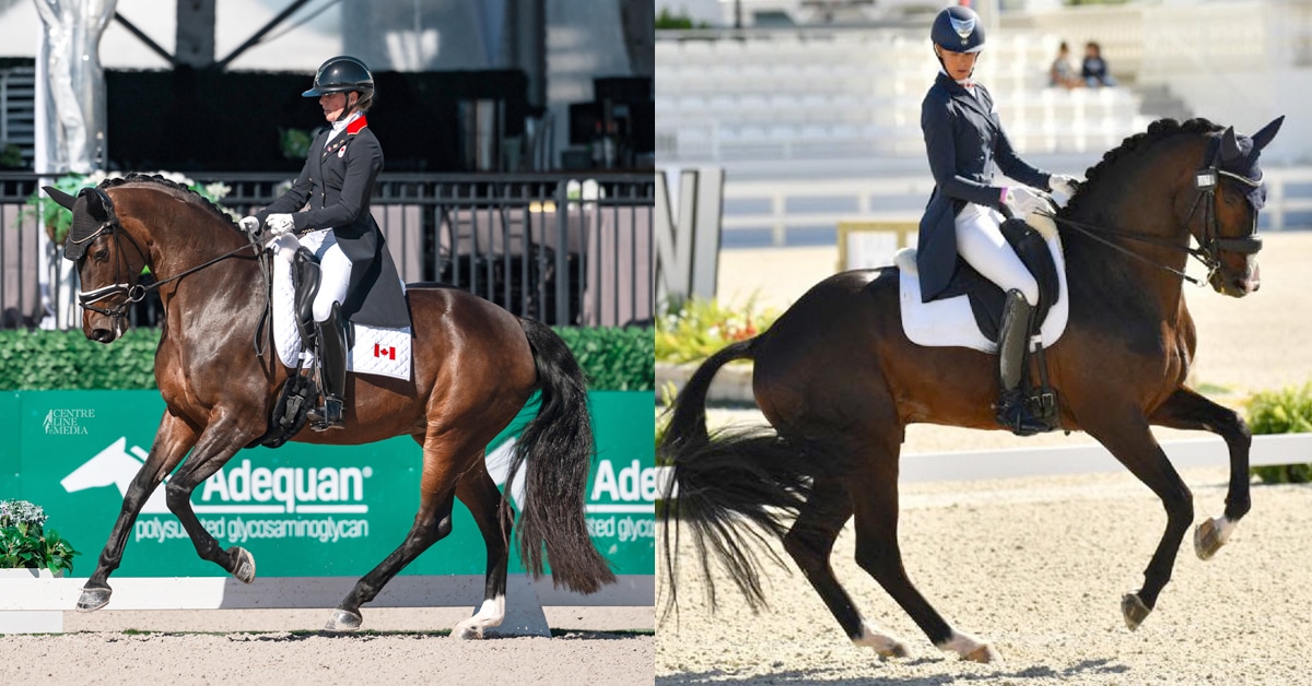 Side-by-side photos of women riding bay dressage horses in competition.