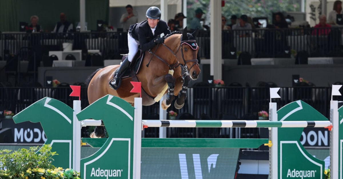 A man jumping a bay horse over a fence at WEF.