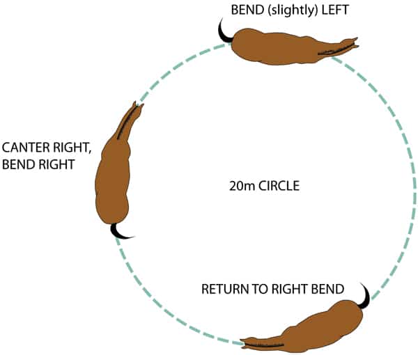 A circle exercise diagram.