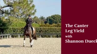 A woman riding a bay horse in canter leg yield right.