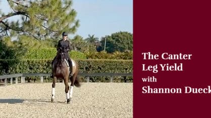 A woman riding a bay horse in canter leg yield right.