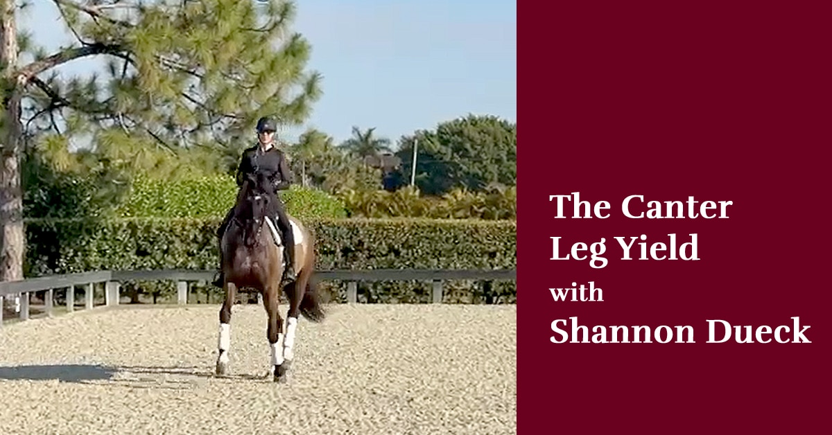 A woman riding a bay horse in canter leg yield right.