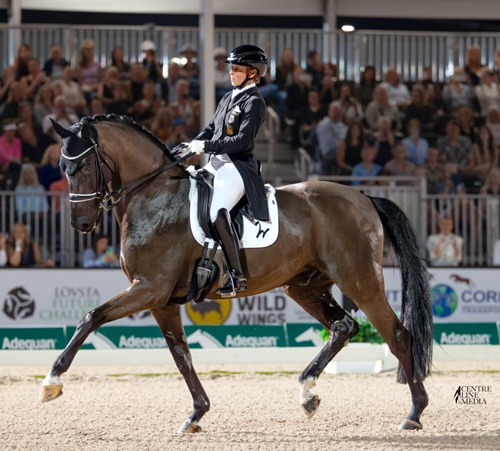 A woman riding a bay dressage horse in competition.