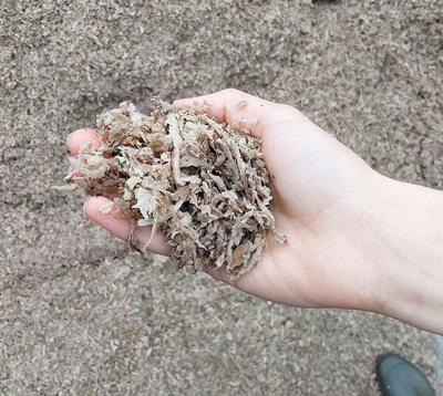 A hand holding beet pulp.