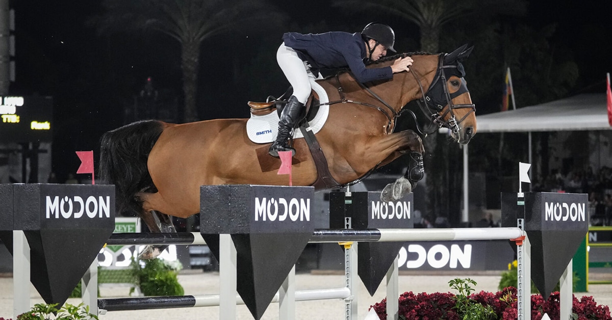 A man jumping a bay horse over a fence during a night class in Florida.