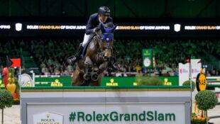 A man jumping a fence on a bay horse at the Dutch Masters.