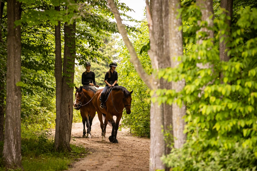 Two people on horseback riding through the woods.
