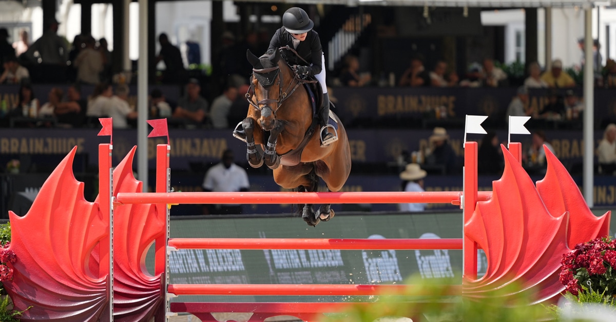 A young woman jumping a bay horse over a fence at WEF.