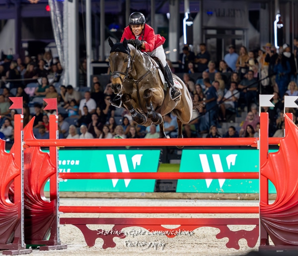 A man jumping a bay horse over a fence at WEF.