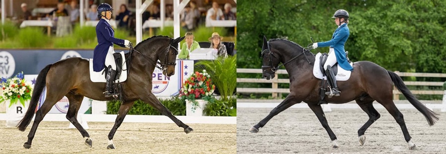 Two women riding dressage horses at extended trots.