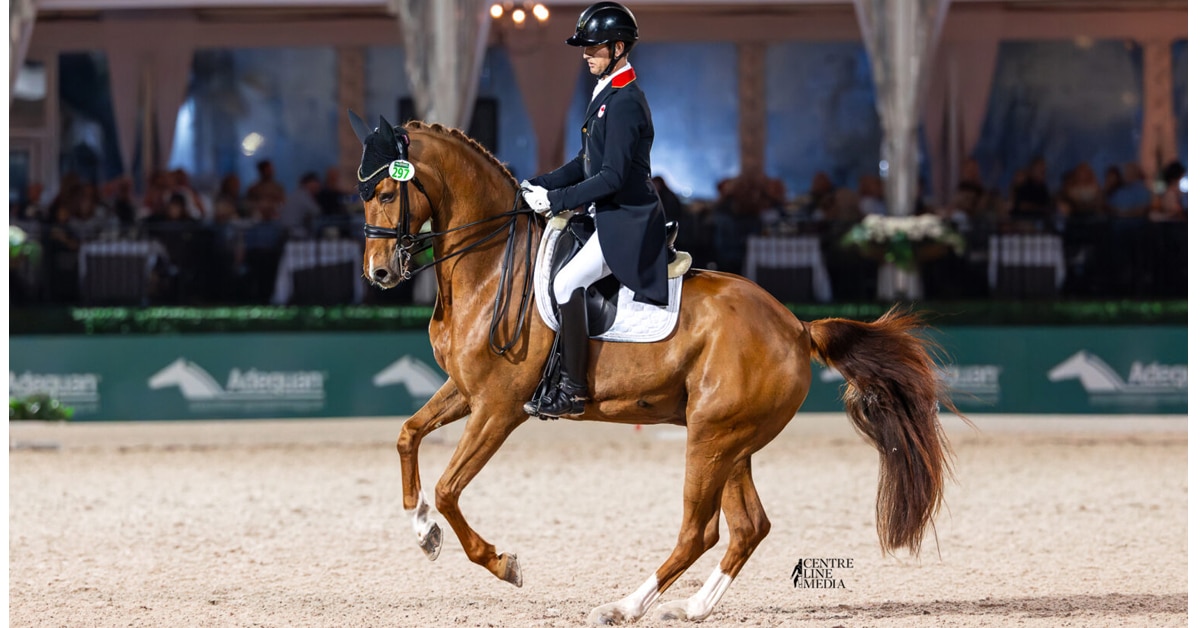 A man riding a chestnut dressage horse in pirouette.