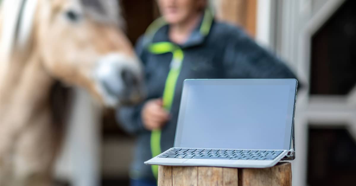 A horse and handler in the background with a computer in the foreground.