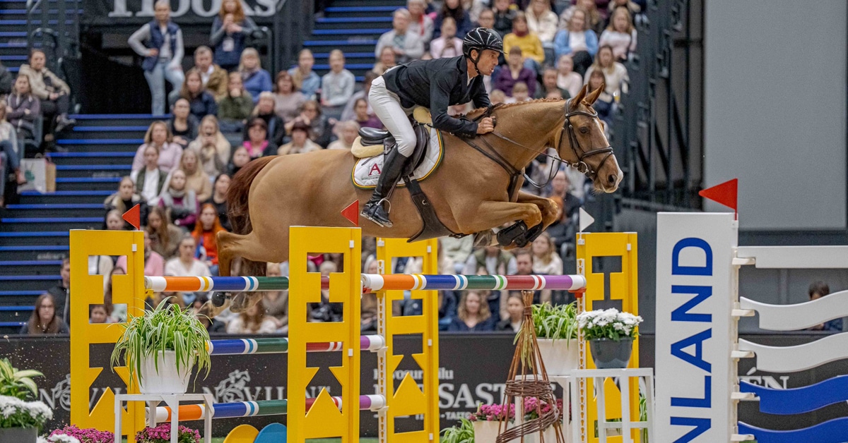 A man jumping a chestnut horse over a fence in Helsinki.