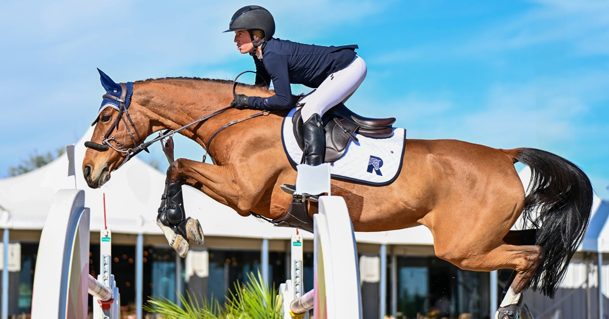 A woman riding a bay mare over a fence in California.