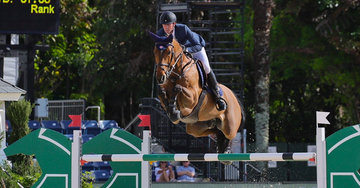 A man jumping a bay horse over a fence at WEF.