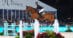 A man jumping a bay horse over a fence at WEF.