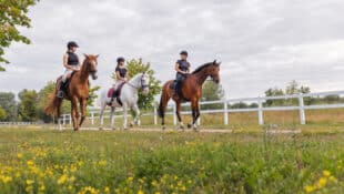 Three women riding horses on a trail on a farm.