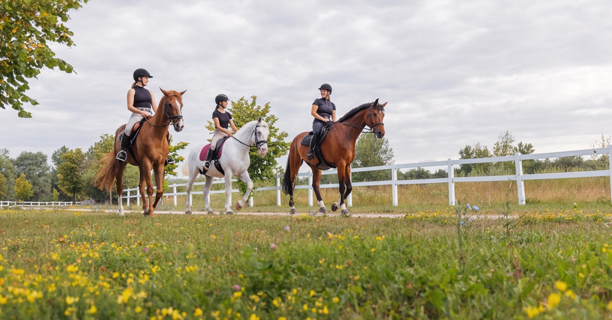 Three women riding horses on a trail on a farm.